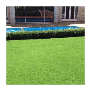 Santa Ana Grass