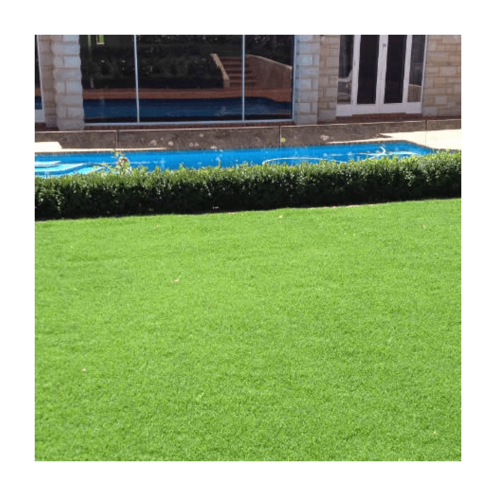 Santa Ana Grass